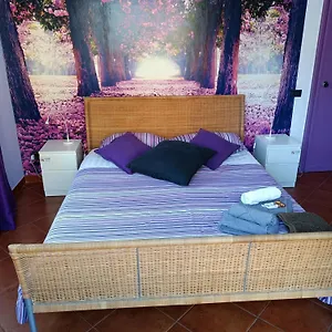  Bed & Breakfast Claudia A Monteverde